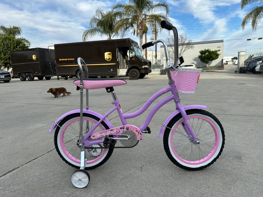 Micargi Taylor kid bike with training wheel purple basket