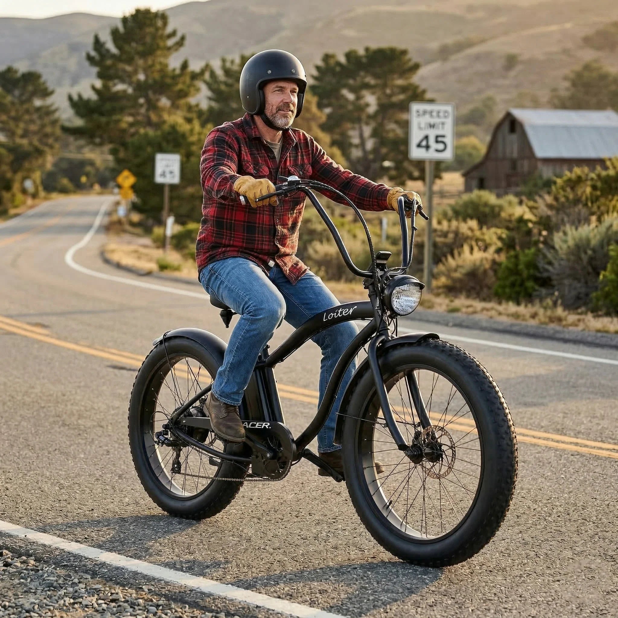 Cruiser Ebike