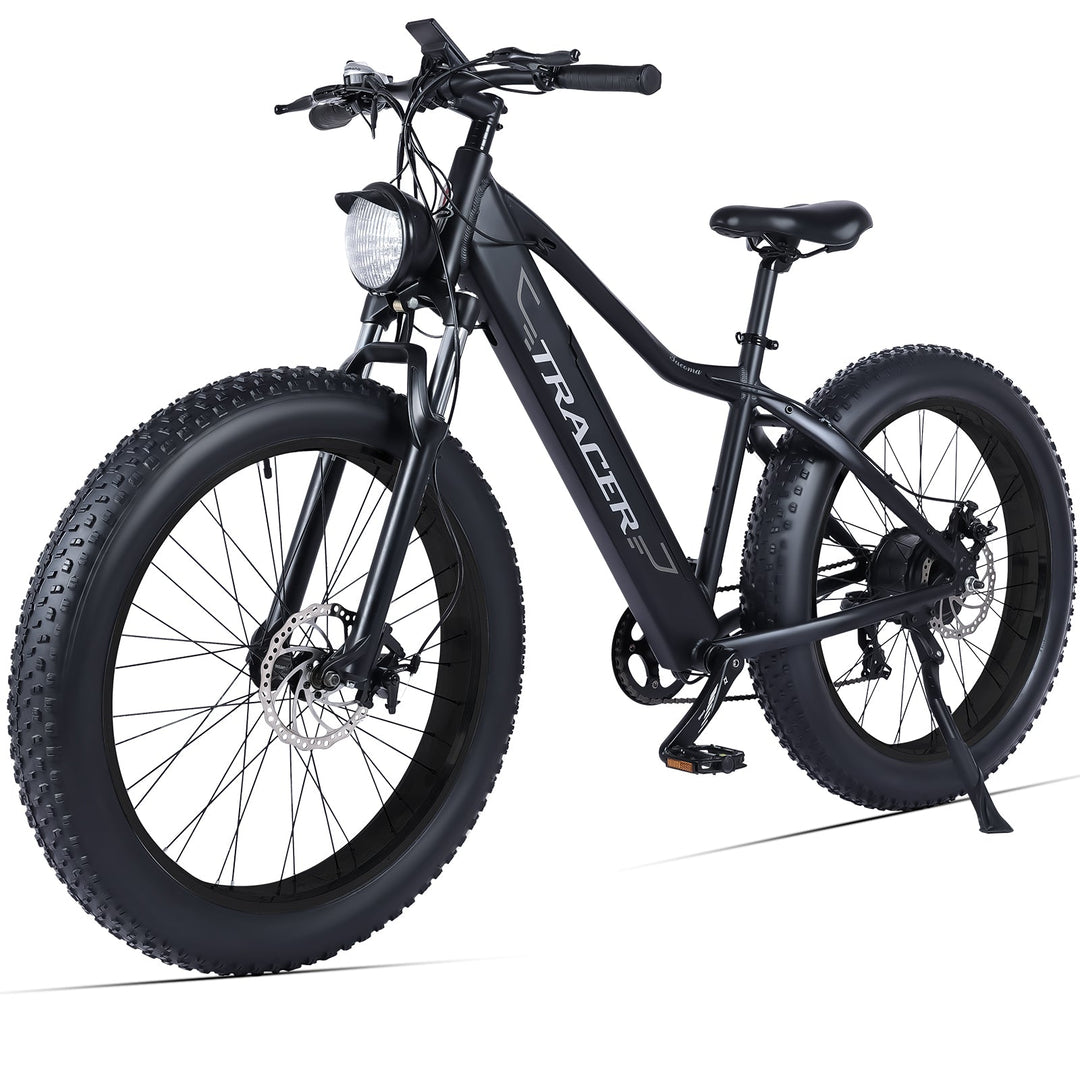 Tacoma 800W Fat Tire Electric Mountain Bike