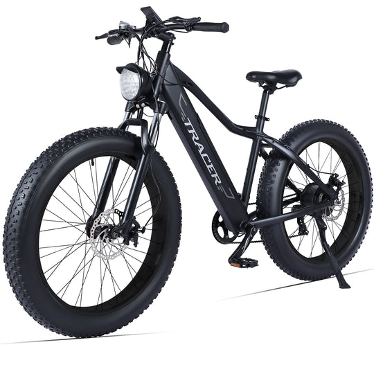 Tacoma 800W Fat Tire Electric Mountain Bike
