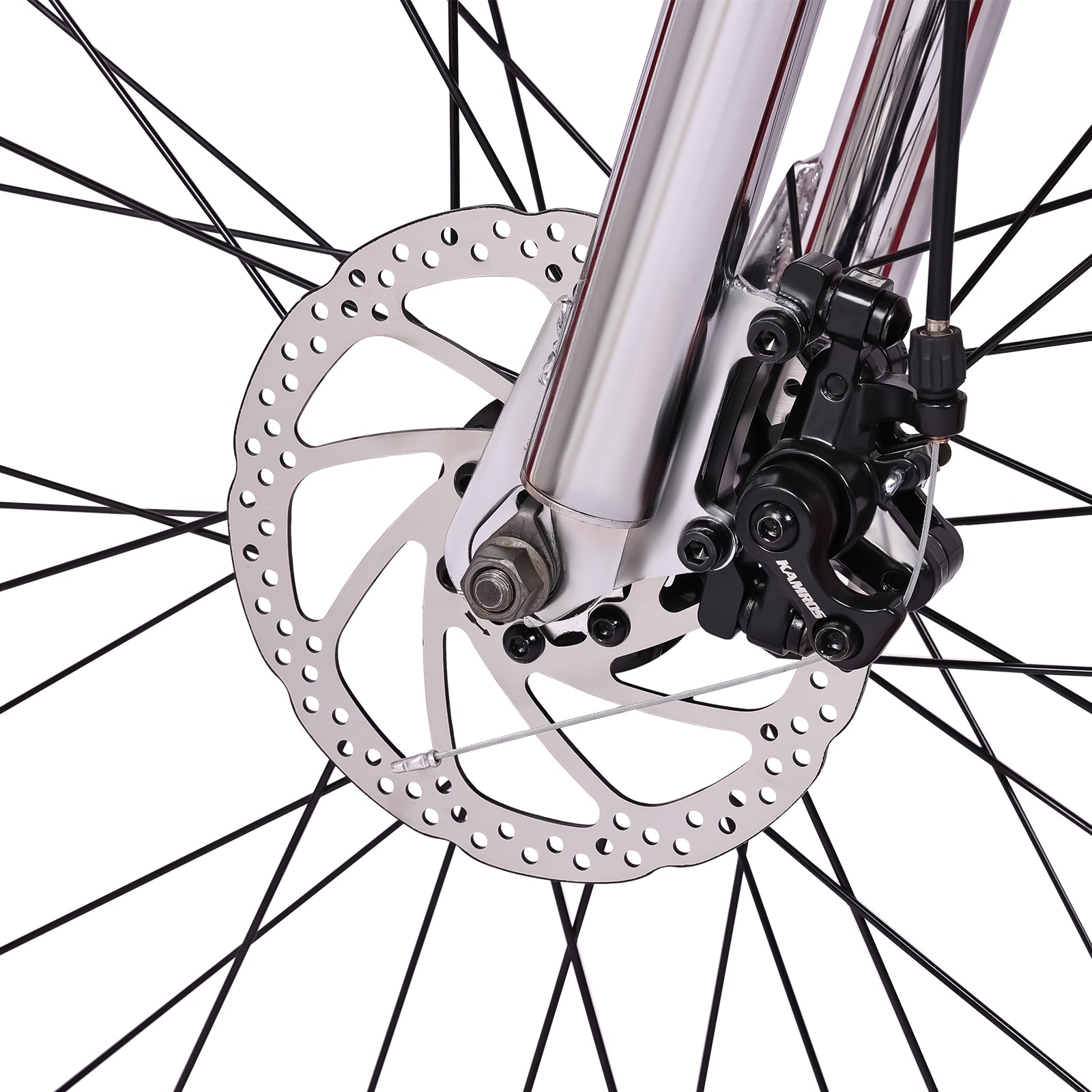 close up of Micargi Largo GT7 Beach Cruiser Bike shimano 7-Speed 29" disc brake