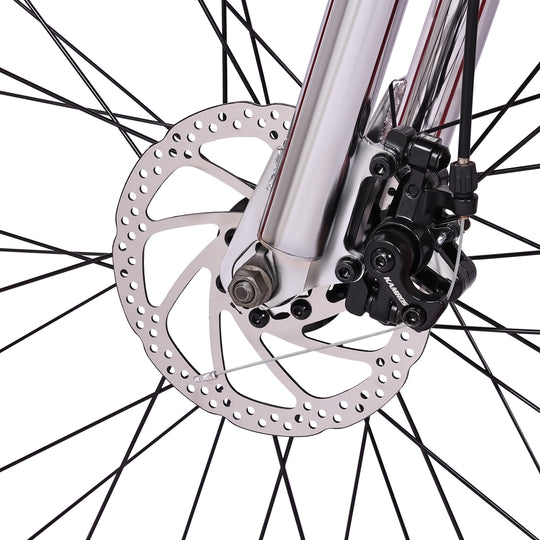 Micargi Largo GT7 29" Beach Cruiser Bike 7-Speed