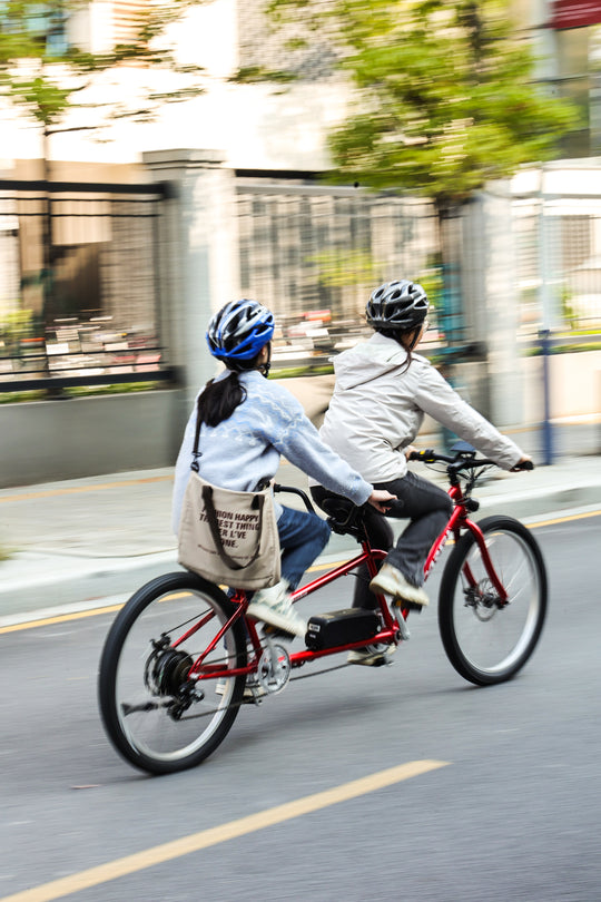 Micargi Raiatea 500W Tandem Electric Bicycle