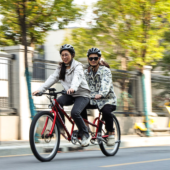 Micargi Raiatea 500W Tandem Electric Bicycle