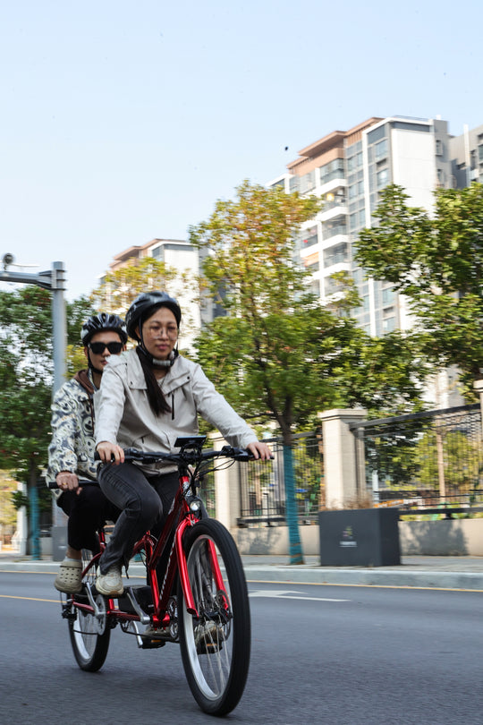 Micargi Raiatea 500W Tandem Electric Bicycle