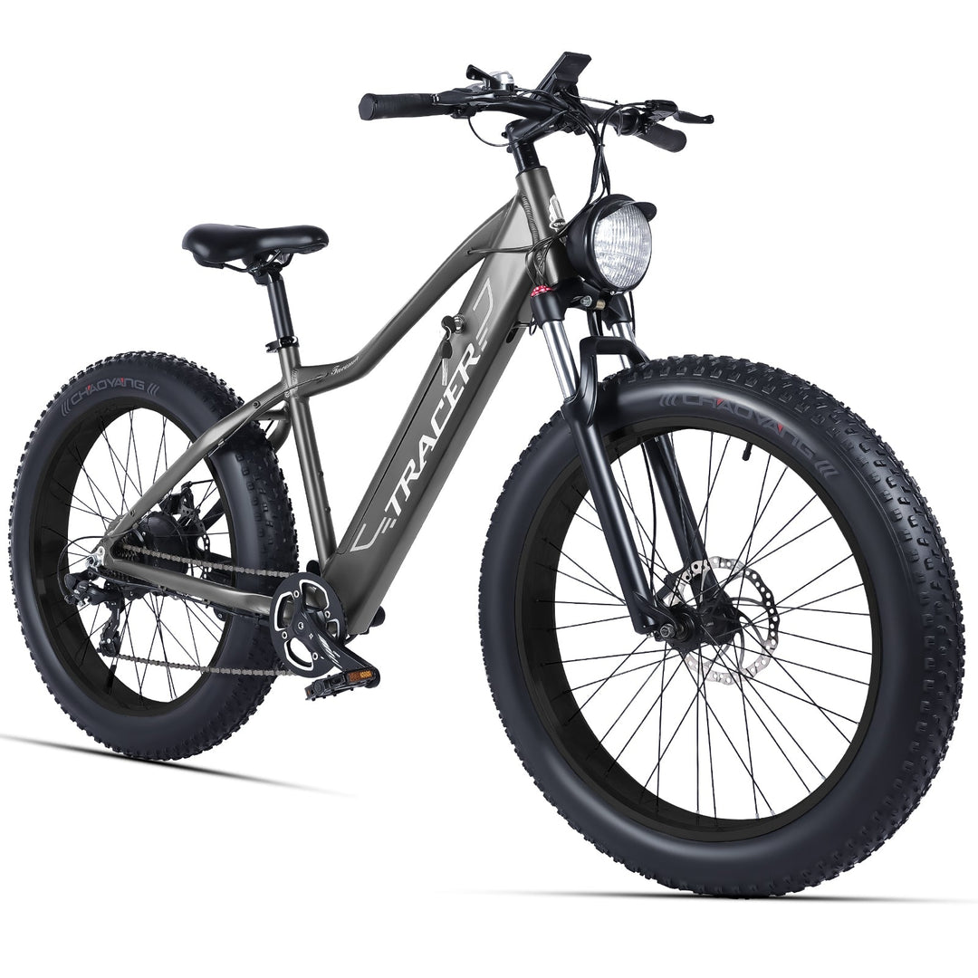 Tacoma 800W Fat Tire Electric Mountain Bike