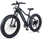 Side view of Micargi Steed Electric Mountain Bicycle 800W rear motor