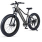 Side view of Micargi Steed Electric Mountain Bicycle disc brake
