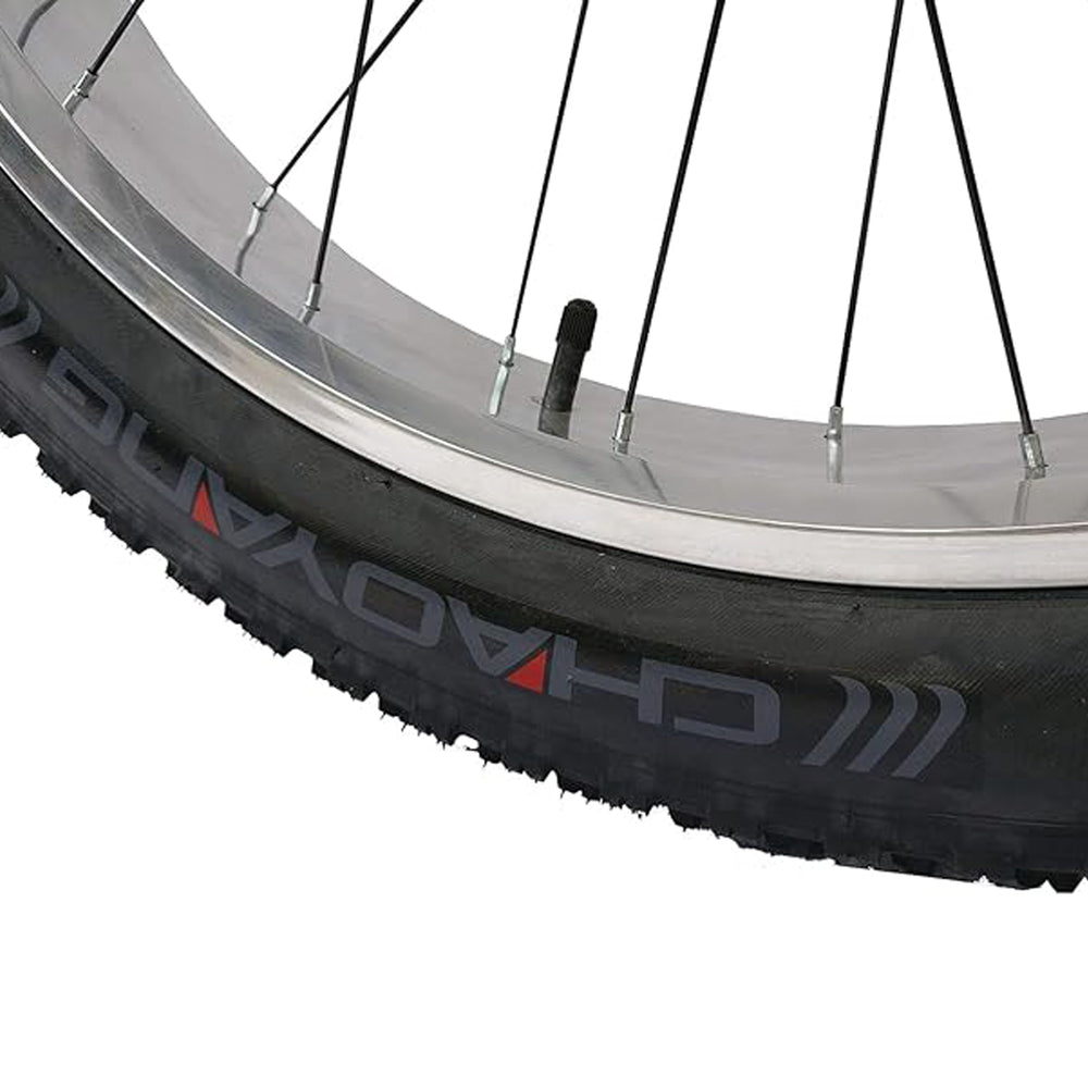 Micargi Slugo A Male 26" Beach Cruiser Bike with 1-Speed coaster Brake and FAT Tires