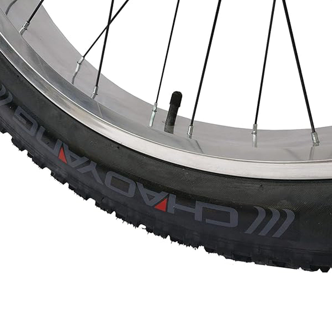 Micargi Slugo A Male 26" Beach Cruiser Bike with 1-Speed coaster Brake and FAT Tires