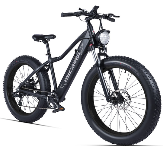 Micargi Steed Electric Mountain Bicycle