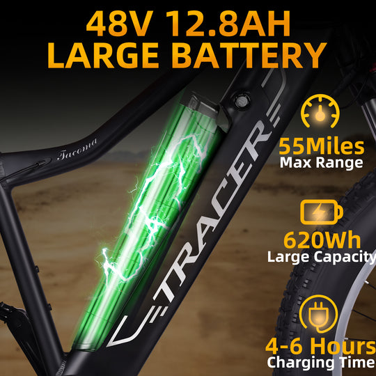 Tacoma 800W Fat Tire Electric Mountain Bike