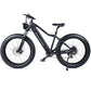 Micargi Steed Electric Mountain Bicycle Hi-ten Steel frame