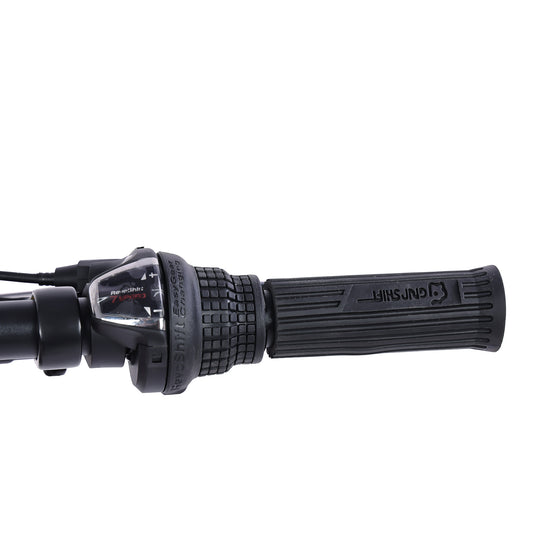 Micargi Raiatea 500W Tandem Electric Bicycle