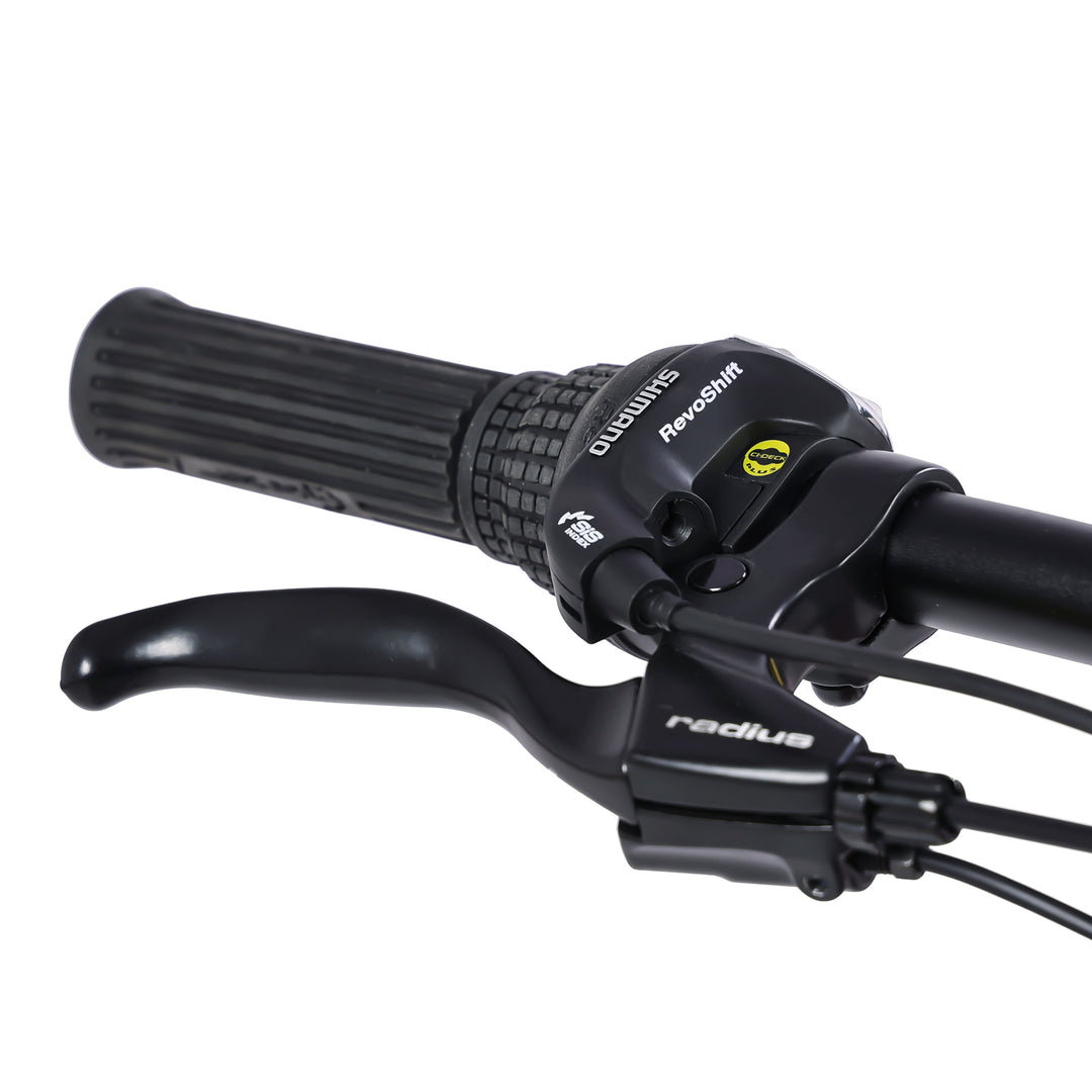 Micargi Raiatea 500W Tandem Electric Bicycle