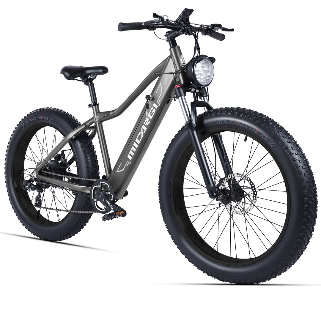 Micargi Steed Electric Mountain Bicycle