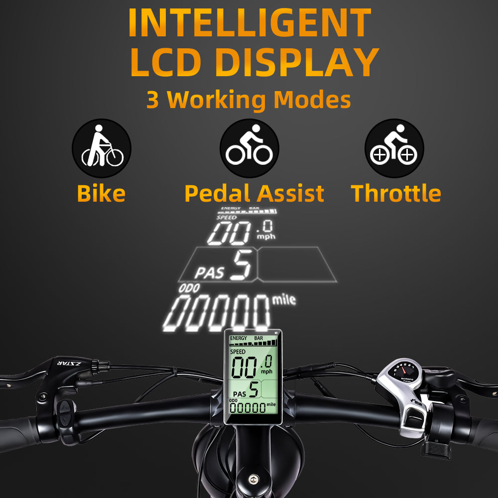 Tacoma 800W Fat Tire Electric Mountain Bike