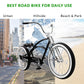 Master DS 26-inch dual springer chopper stretch cruiser bike