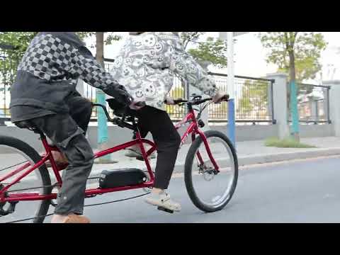 Micargi Raiatea 500W Tandem Electric Bicycle