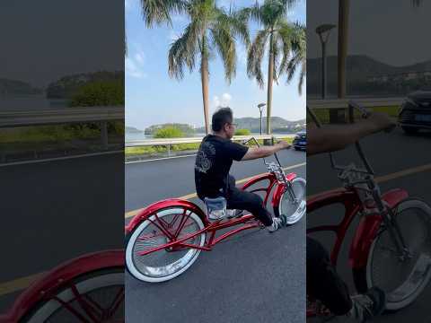 Scorpion Pro DTS Stretch Cruiser Bike