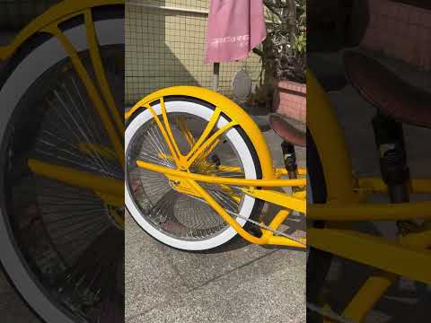 Scorpion Pro DTS Stretch Cruiser Bike