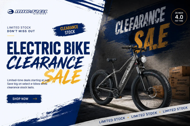 Micargi Bicycles For Sale Micargi Bicycles For Sale