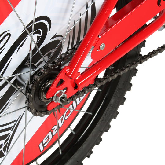 Micargi Dragon 20-Inch Kids Bike