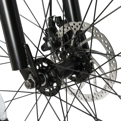 Micargi Slugo SS Beach Cruiser  Bike